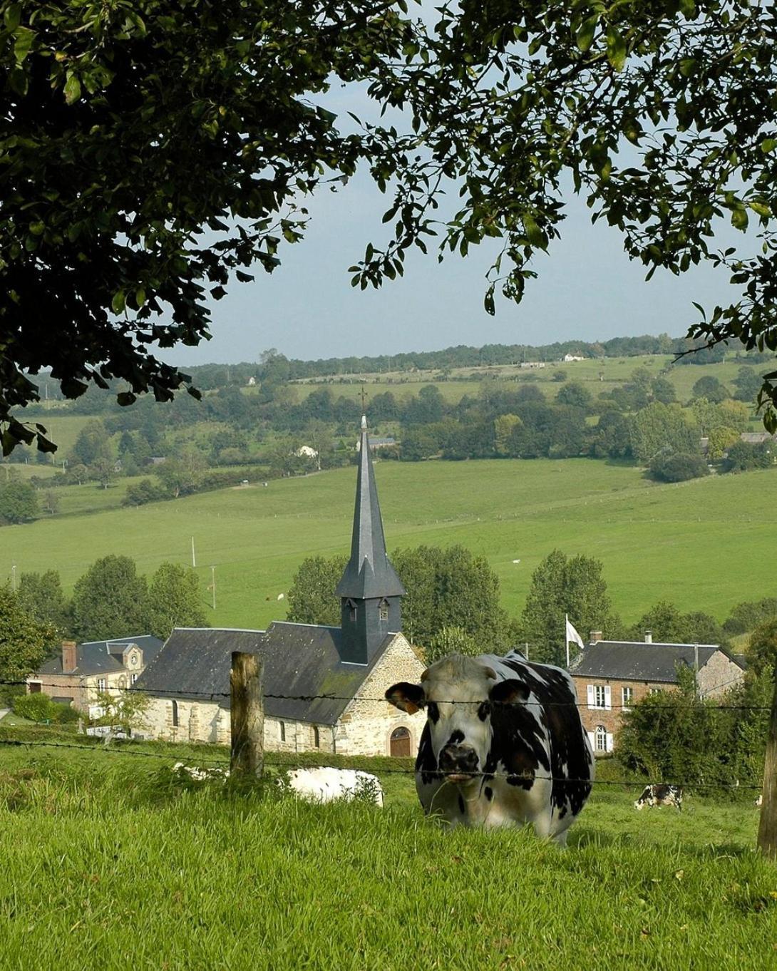 Gite Insolite "Le Coup De Foudre" Sa Vue Panoramique Vimoutiers 외부 사진